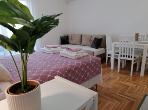 Studio apartman Viktor